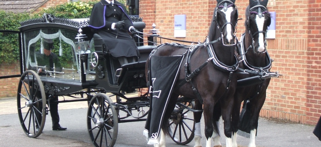 Funeral-Carriages-Drayhorse-Shires, Horse and Carriage, Brisbane, Sunshine Coast, Gold Coast