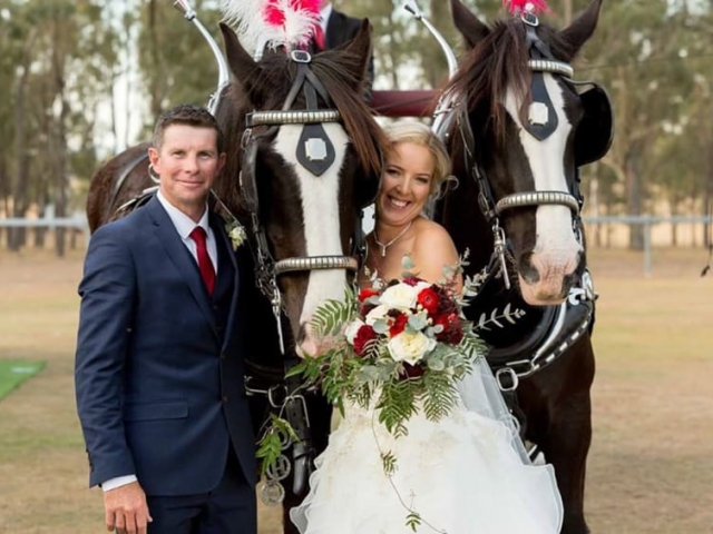 Drayhorse Shires Wedding Carriage and Shires Hire - Brisbane, Gold Coast