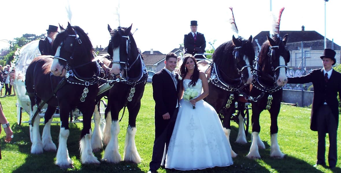 Perfect Wedding Day - Cinderella Carriage Hire - Drayhorse Shires