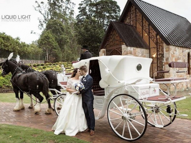 Vis A Vis Wedding Carriage - Drayhorse Shires Australia, Brisbane, Gold Coast