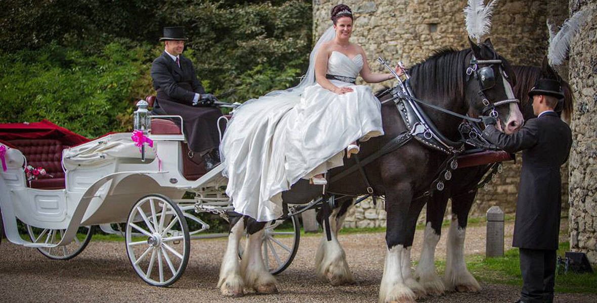 Traditional Wedding Horse and Carriages