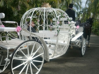 Cinderella Carriage & Horse Hire - Drayhorse Shires Australia
