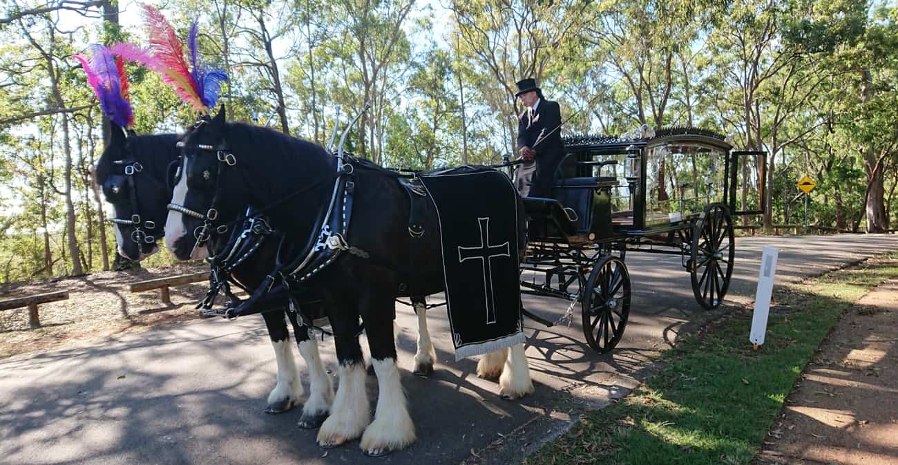 McCartney Family Funerals - Drayhorse Shires Australia. Black Hearse Based on an early Marsden, this traditional hearse is designed for standard coffins to caskets.