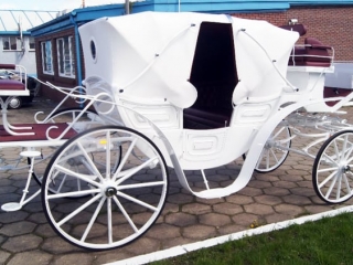 Vis A Vis Carriage Hire - Drayhorse Shires Australia
