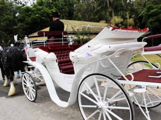 Vis A Vis Carriage Hire - Drayhorse Shires