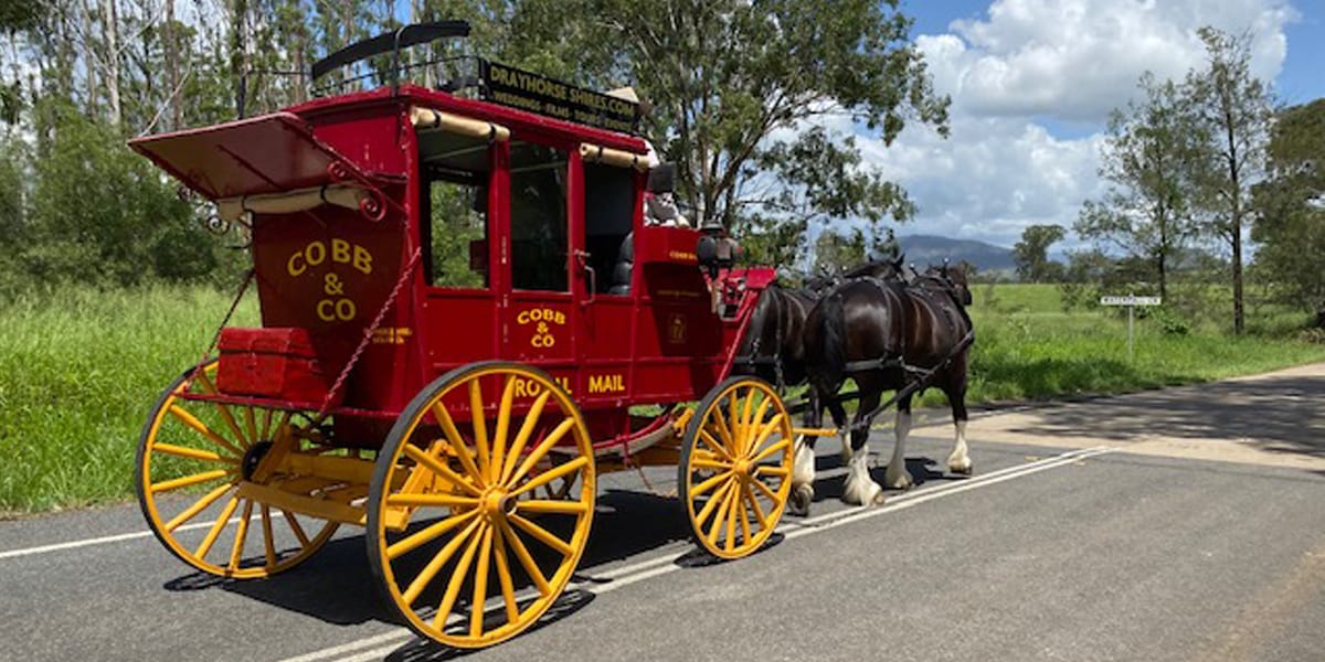 Cobb & Co Wagon tours with traditional drovers lunch, Pulled by a pair or team of Shire horses by Drayhorse Shires & Carriages, Maroon, Qld