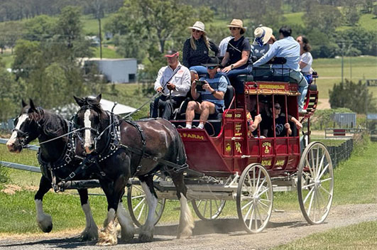 Shire Horse Farm + Cobb & Co Tour